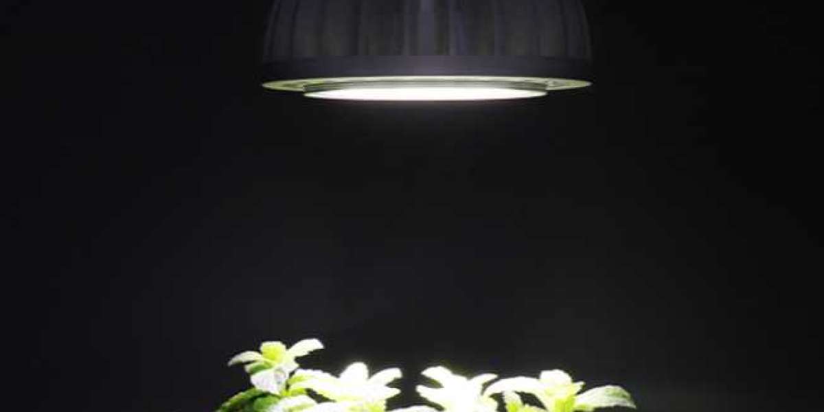 Discover the Best Wholesales LED Bulb Deals for Energy Efficiency, Long Lifespan, and Cost-Effective Lighting Solutions 