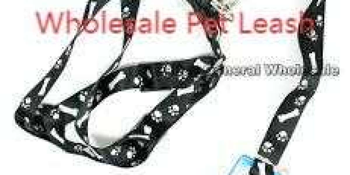 Durable Leash Options That Keep Pets and Owners Happy
