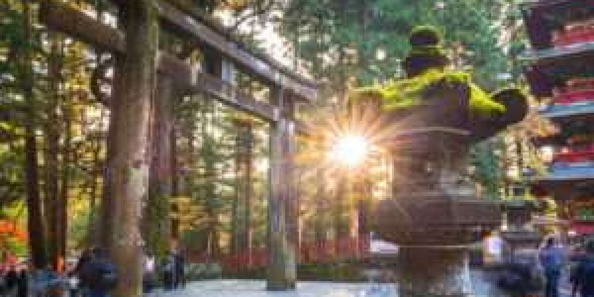 Japan Unveiled: Tokyo Grand Tours and Scenic Fuji Adventures