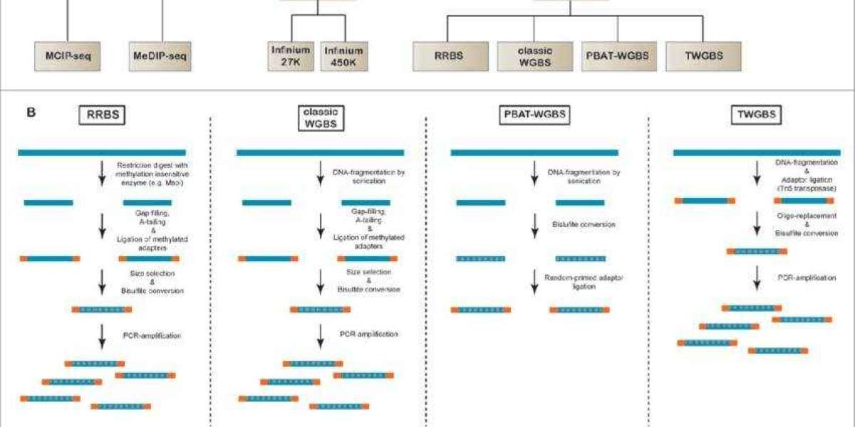 Choosing the Appropriate DNA Methylation Sequencing Technology