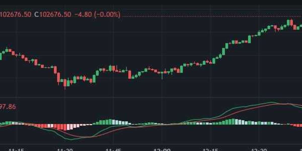 Why Open a Trading Demo Account Today?