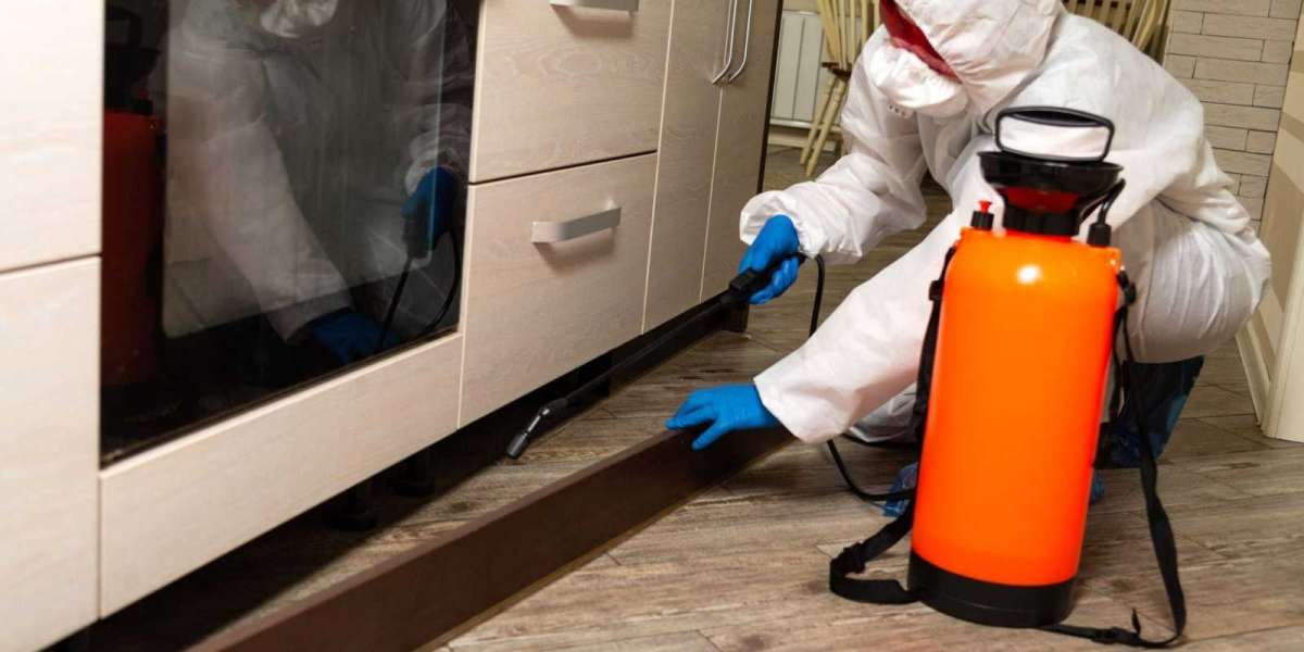 Take Control of Infestations with Professional Ant Removal Mississauga