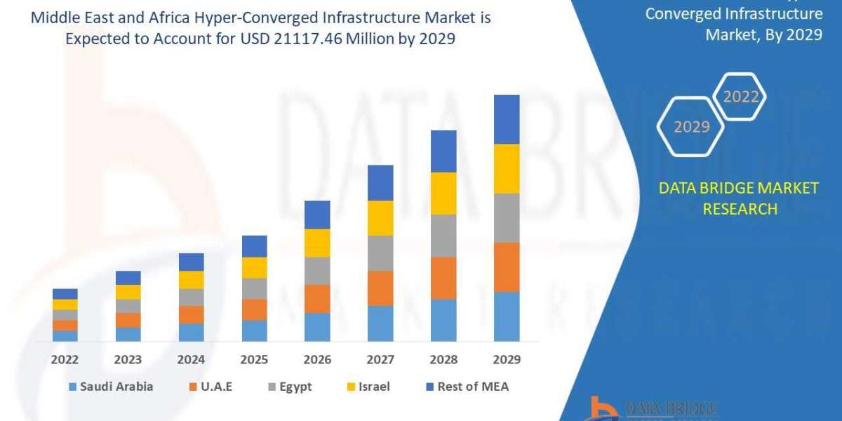 Middle East and Africa Hyper-Converged Infrastructure Market Size & Analysis: Promising Growth and Investment Opport