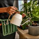 Plant watering kits
