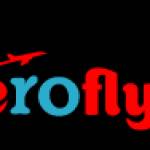 Aerofly ticket