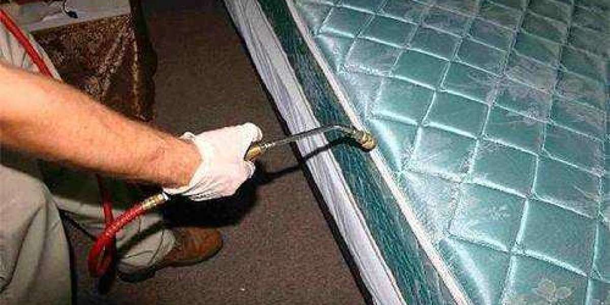 The Complete Guide to Bed Bug Pest Control: What Really Works