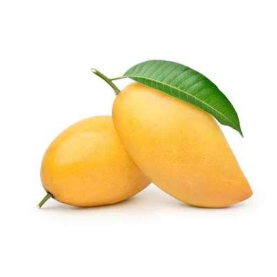 Kesar Mango Box (Pack of 6) Profile Picture