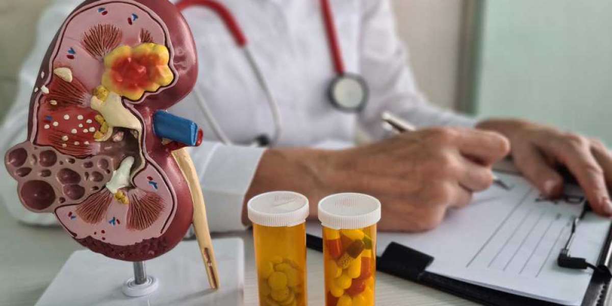 Targeted Progress in Lupus Nephritis: Innovations Fueling a Therapeutic Revolution