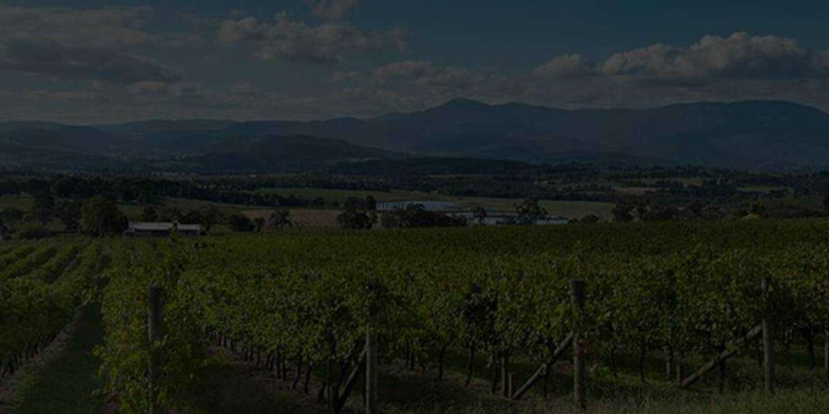 Top-Quality Airbnb Property Services in Yarra Valley and Dandenong Ranges