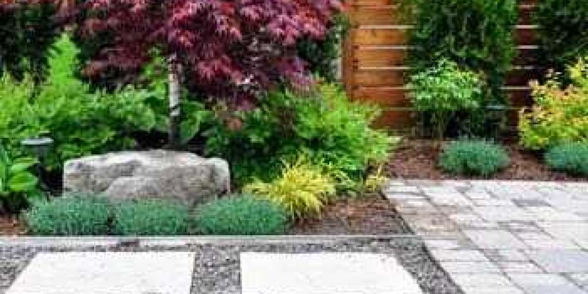 Restore and Maintain Your Outdoor Spaces with Expert Care