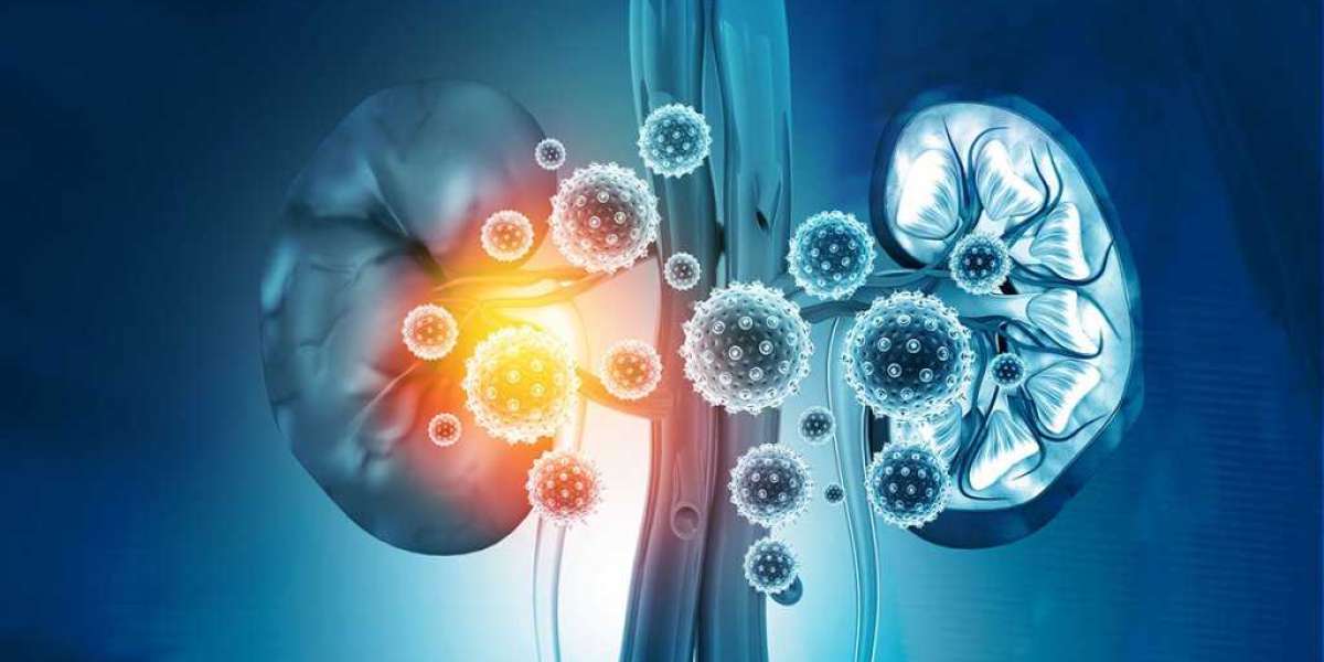 Transforming the Renal Insufficiency Market: Innovation, Investment, and Global Demand