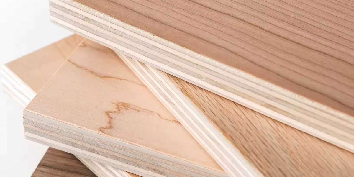 Global Construction Trends and the Plywood Market