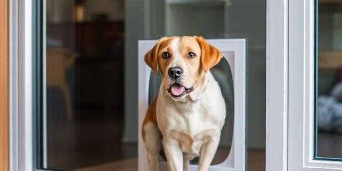 Testimonials: How a Pet Door Installation Transformed a Sydney Business
