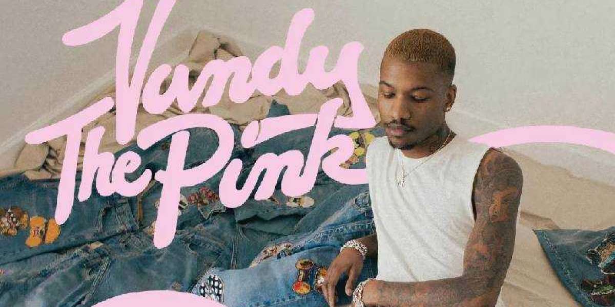 Vandy The Pink Redefining Streetwear with Whimsy and Innovation