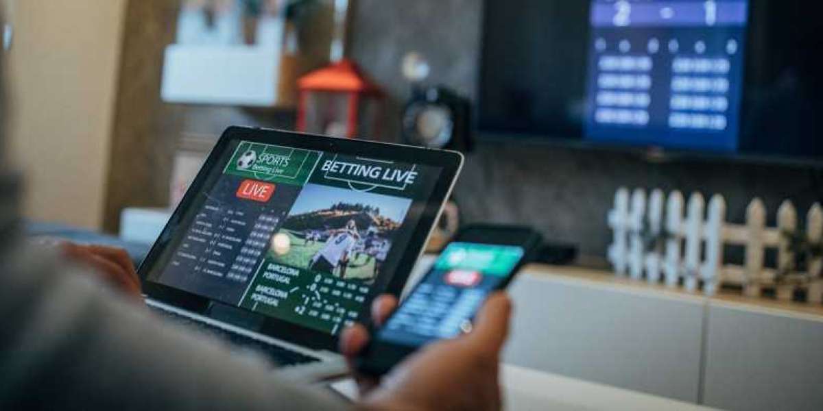 Exploring a Reliable Source: Why virginialabuat Stands Out