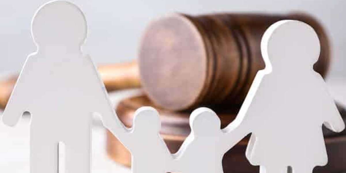 The Most Common Cases Handled by Lawyers in Sunshine Coast