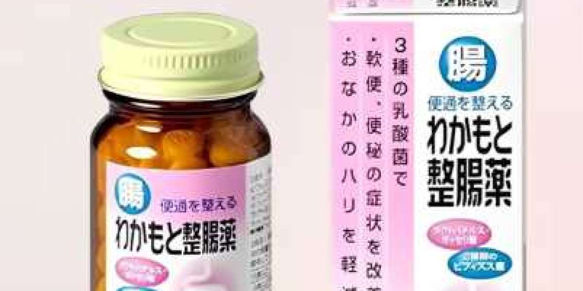 旅行必備！Wakamoto 若元錠助你維持腸胃健康