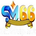 SM66