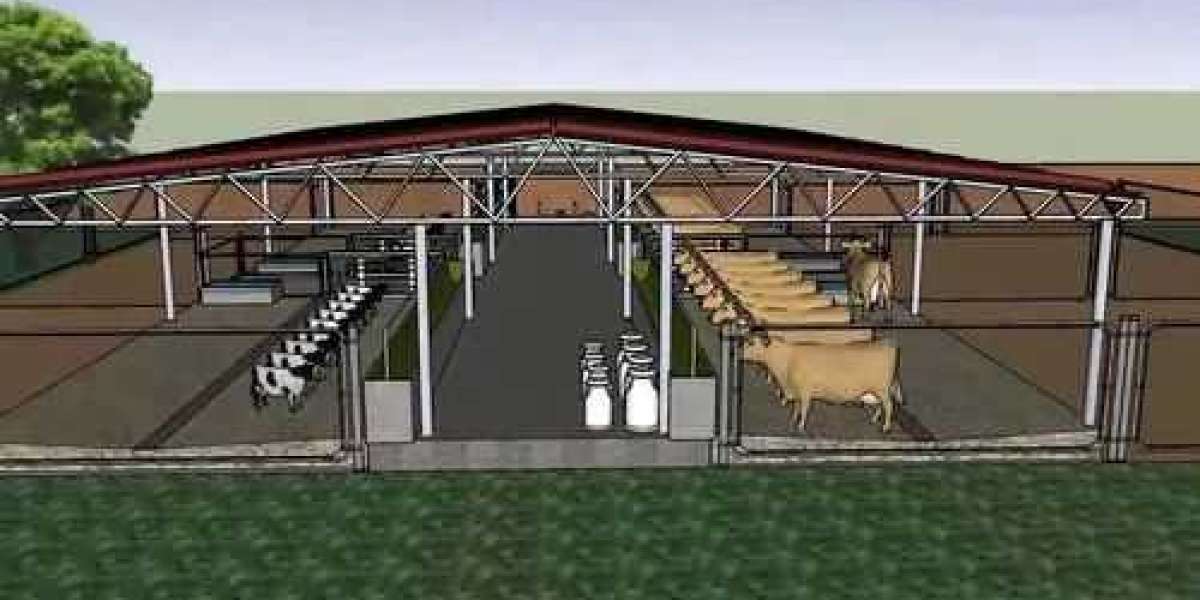 Benefits of High-Quality Dairy Farm Shed