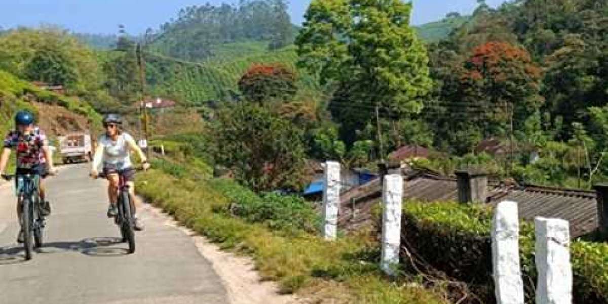 Cycling In South India And The South India Cycling Tour Experience