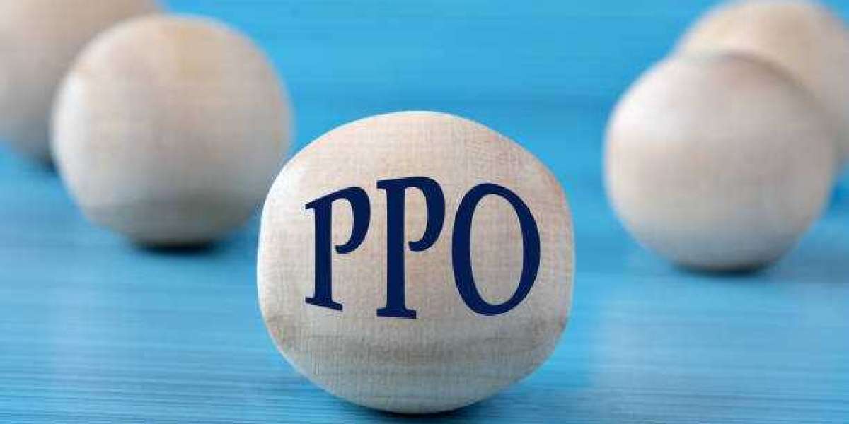 Pre-Placement Offer (PPO): Qollabb Quick Route to Professional Achievement