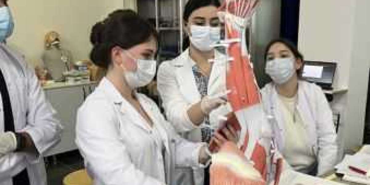 MBBS in Georgia: A Great Option for Indian Students with Low NEET Scores