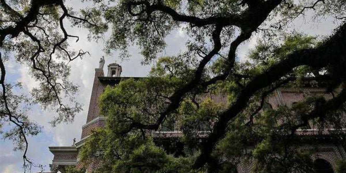 Why Tree Service Is Essential for a Healthy Landscape