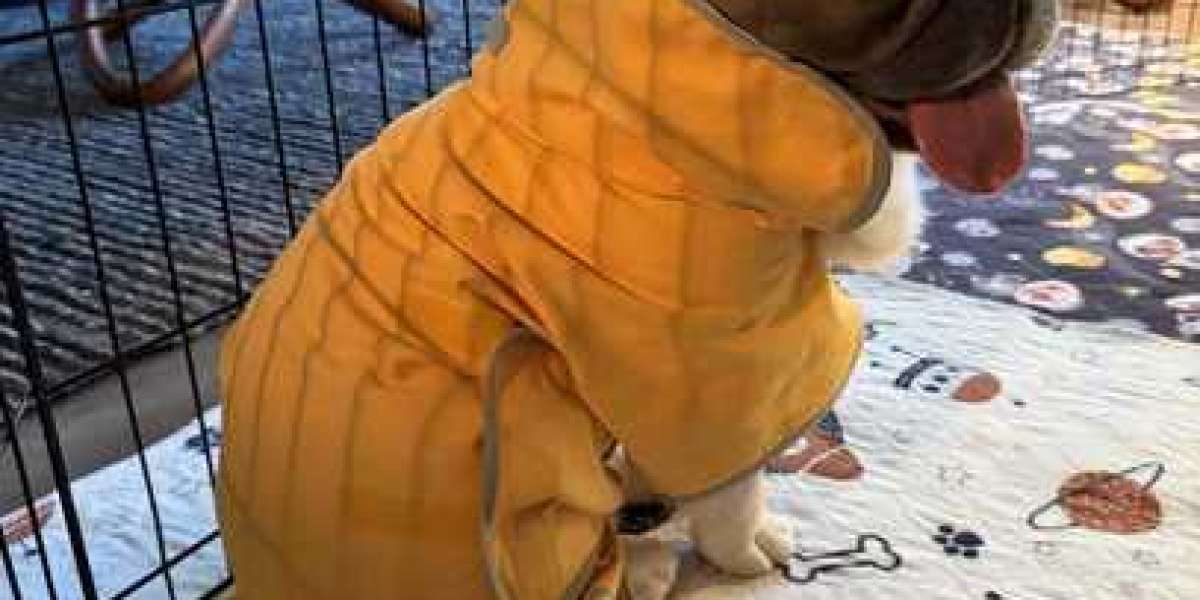 Get quick-dry comfort: choose an absorbent dog bath towel now