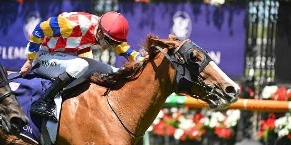 Top PlayUp: Your Ultimate Guide to Australia’s Premier Betting Platform