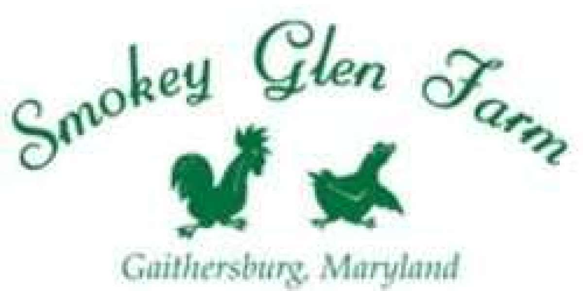 Corporate Events Greater DC Area