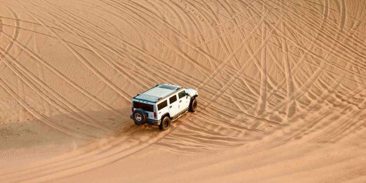 Explore an adventure journey through the Desert & Enjoy the City Tour in Abu Dhabi
