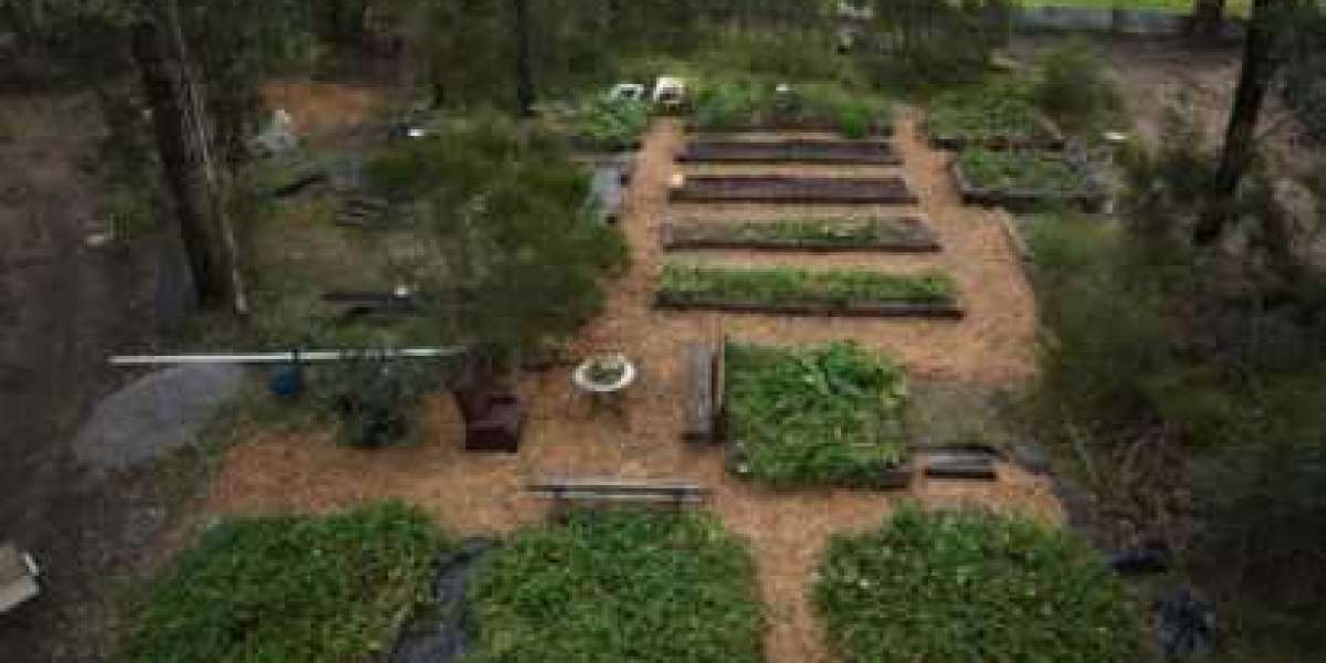 Durable Landscaping with Hardwood Sleepers and Timber Solutions