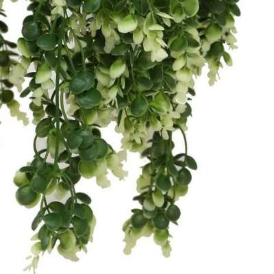 Artificial Spring Evergreen Hanging Basket UV Resistant (Outdoor Proof) Profile Picture