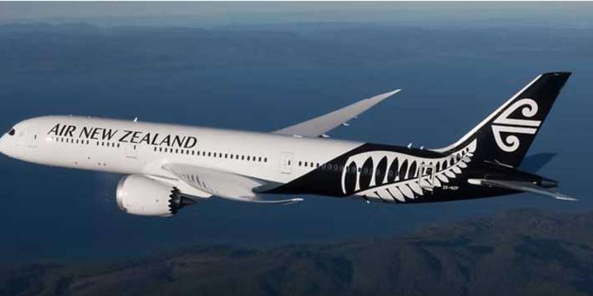 Visitor Visa Extension NZ: How to Stay Longer in New Zealand