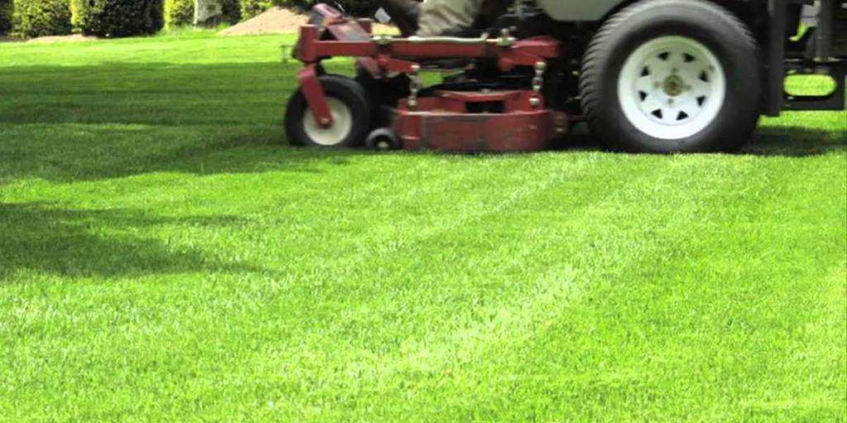 Keeping Your Business Green and Thriving with Commercial Lawn Care in Fargo