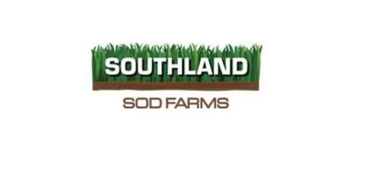 Premium Sod in Orange County: Transform Your Lawn with Southland Sod Farms