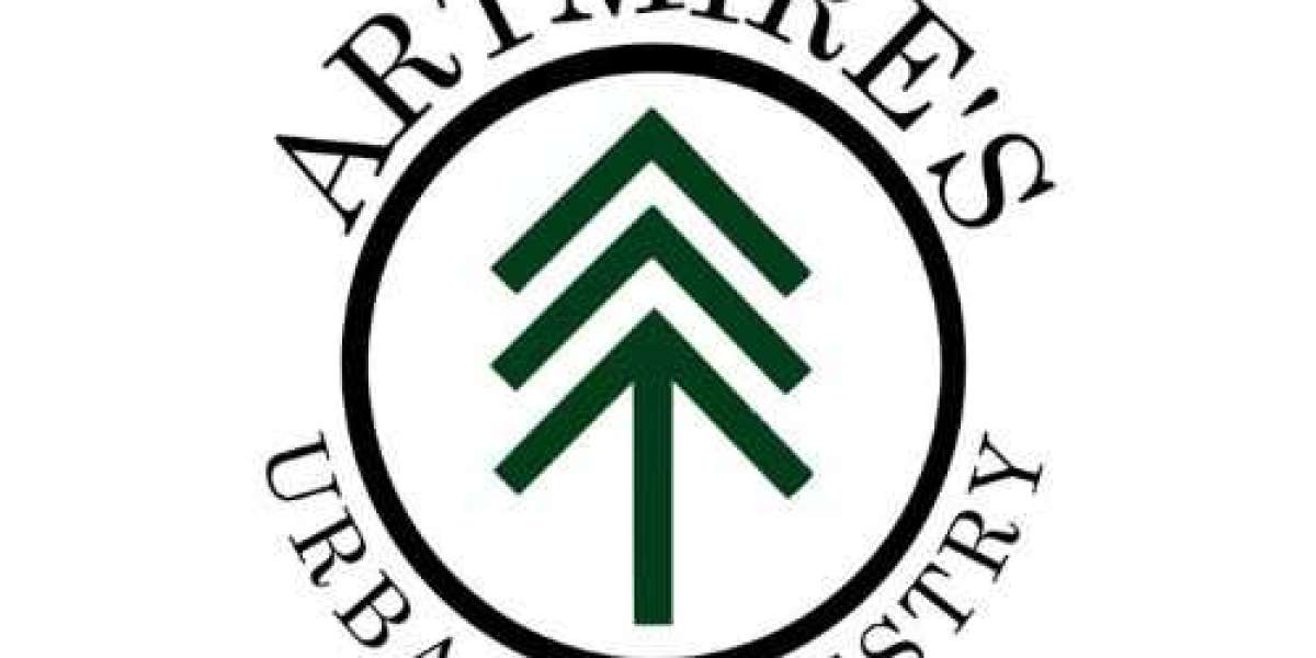 Top 10 Reasons to Schedule Stump Removal This Season in Tyler, TX