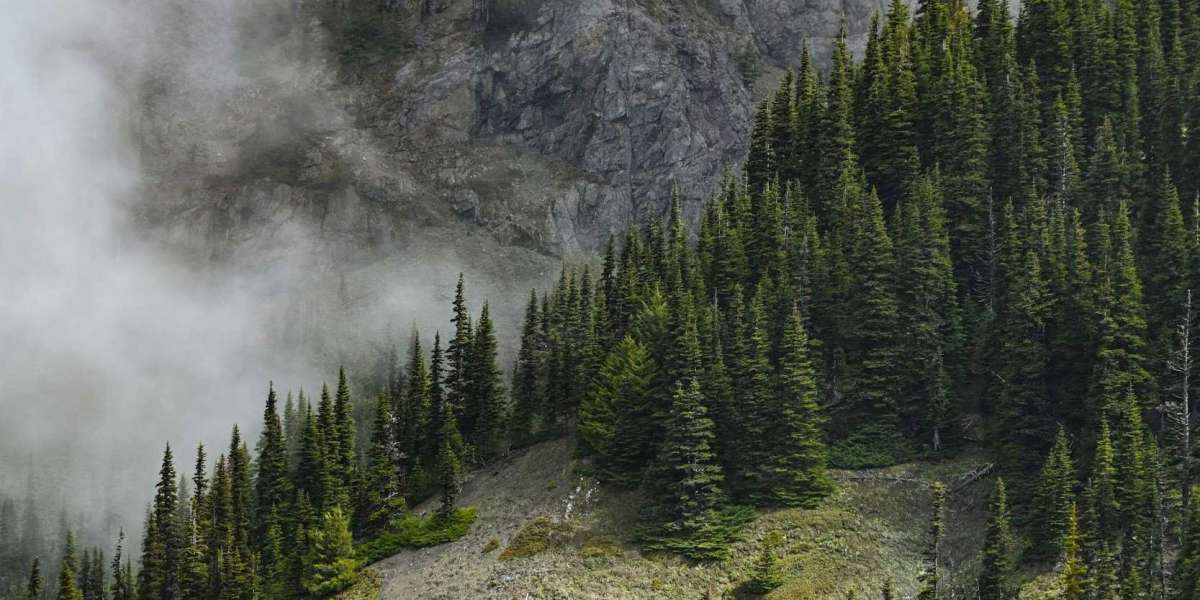 Elevate Your Space: Bentonville Mountain Biking Sign Essentials