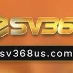 Nhà đài Sv368