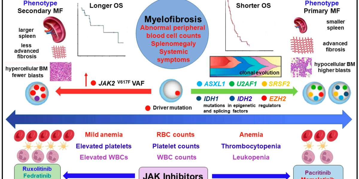 Myelofibrosis: Causes, Symptoms, and Treatment | Dr. S.K. Gupta
