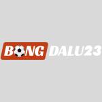 Bongda lu