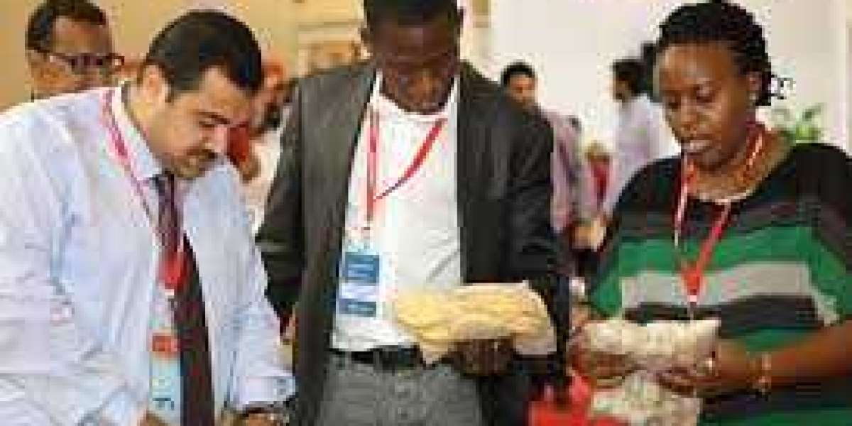 Top Food Importers in Africa: Connect with Leading Suppliers