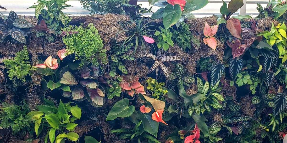 Custom Water Features & Lighting: Transforming Outdoor Spaces in Marco Island, FL