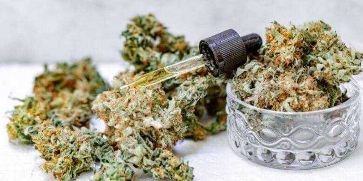 Finding the Online Best Place to Buy THCa Flower: A 2025 Shopping Guide
