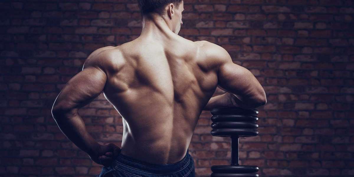 Best Sarms For Muscle Growth:The Ultimate Guide to the Best SARMs for Bulking