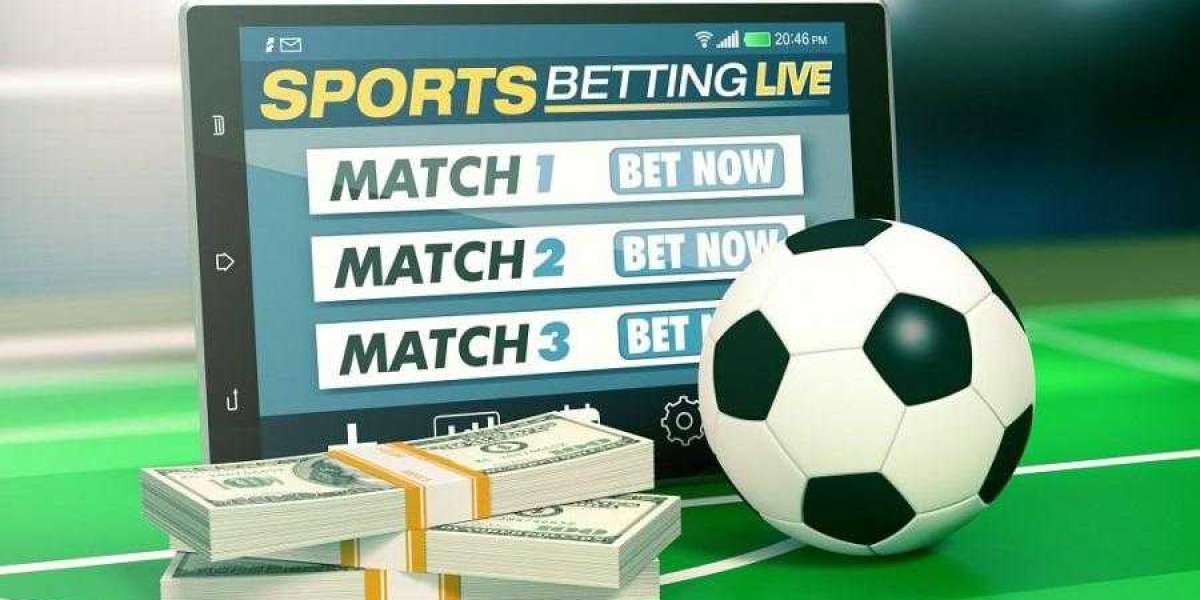 My99exch: A Trusted and Feature-Rich Online Betting Platform