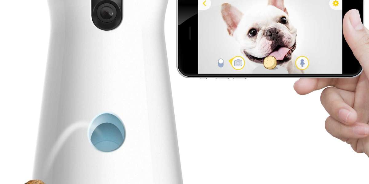 Discovering the Magic of Furbo Dog Camera: A Complete Guide for Pet Owners