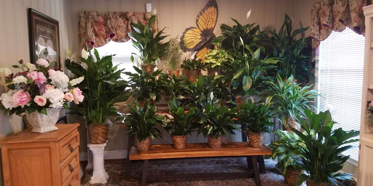 Why Flowers in Charlotte NC Are Perfect for Every Occasion