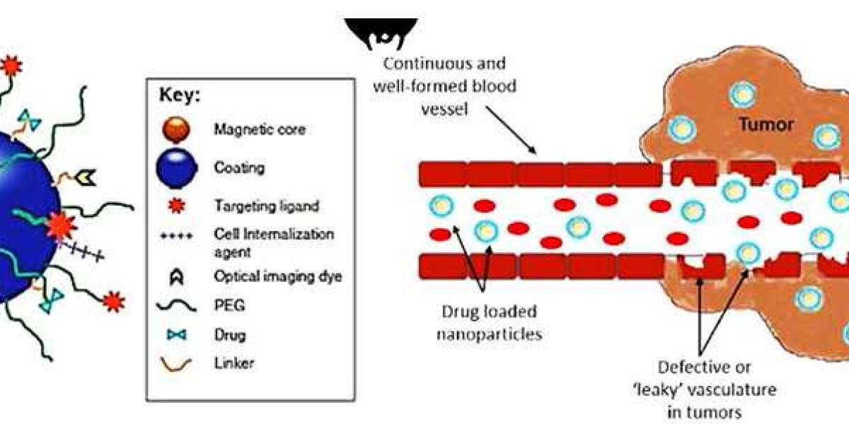 Advanced Bio-Targeted Small Molecules Conjugated Magnetic Nanoparticles for Targeted Cancer Therapy