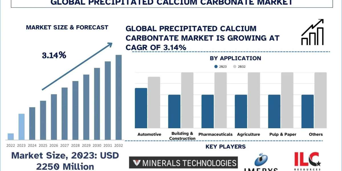 Precipitated Calcium Carbonate Market  Review, Industry Growth and Forecast Metrics (2024-2032) |UnivDatos